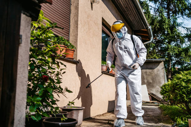 Best Pest Prevention Services  in Milford, OH
