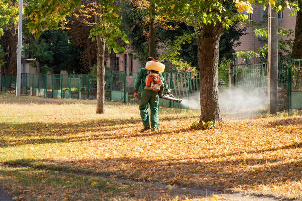 Best Commercial Pest Control Services  in Milford, OH