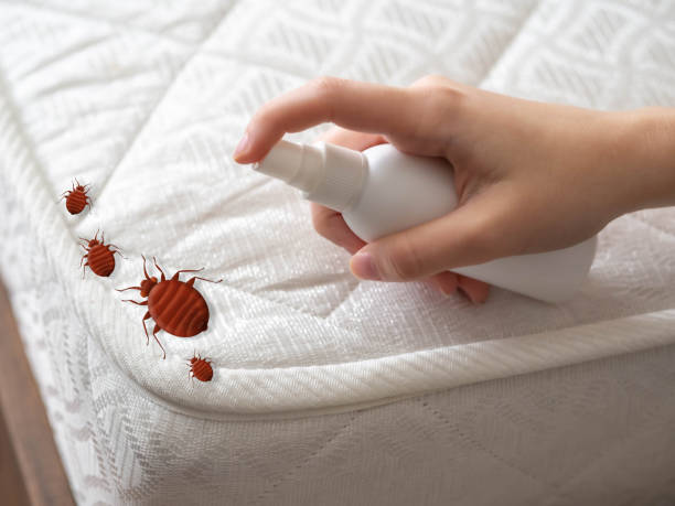 Best Affordable Pest Control Services  in Milford, OH