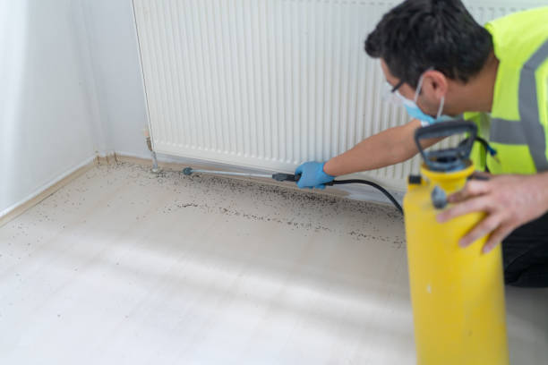 Best Pest Removal Services  in Milford, OH