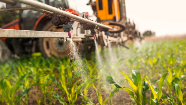 Best Ant Control Services  in Milford, OH